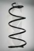 SPIDAN 85036 Coil Spring